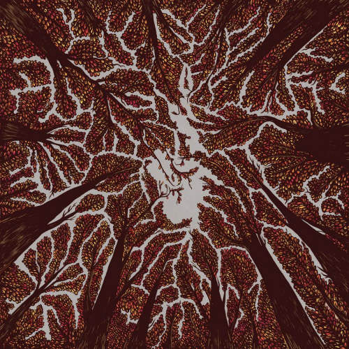 Trash Boat - Crown shyness (LP) - Velvet Music
