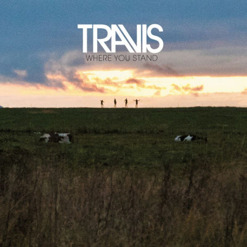 Travis - Where you stand (LP) - Velvet Music