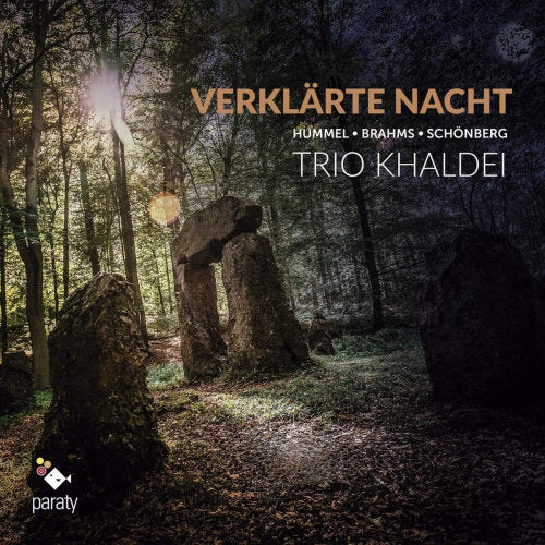 Dale Duesing, Andreas Conrad, - Declared Night (CD)