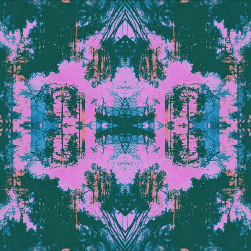 Tusks - Dissolve (CD) - Velvet Music