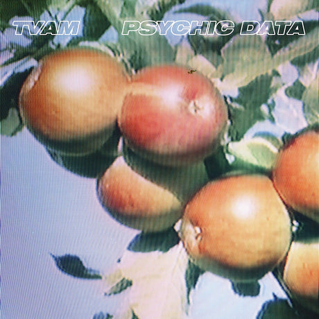 TVAM - Psychic data (LP) - Velvet Music