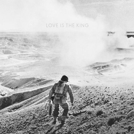 Jeff Tweedy - Love is the king (LP) - Velvet Music