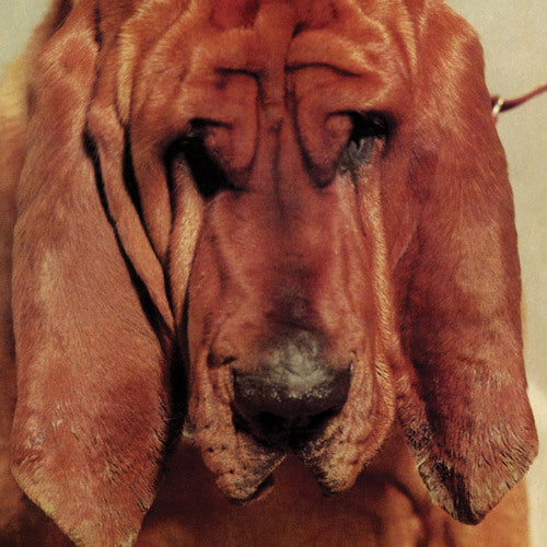 Ty Segall - Goodbye bread (CD) - Velvet Music
