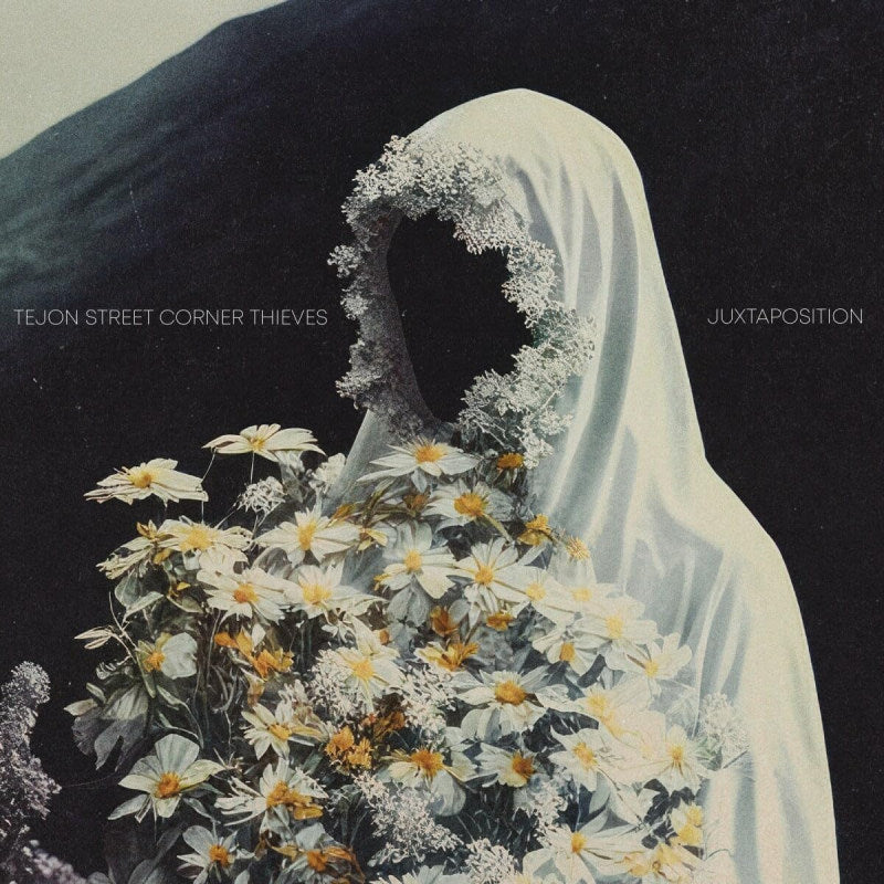 Tejon Street Corner Thieves - Juxtaposition (CD) - Velvet Music