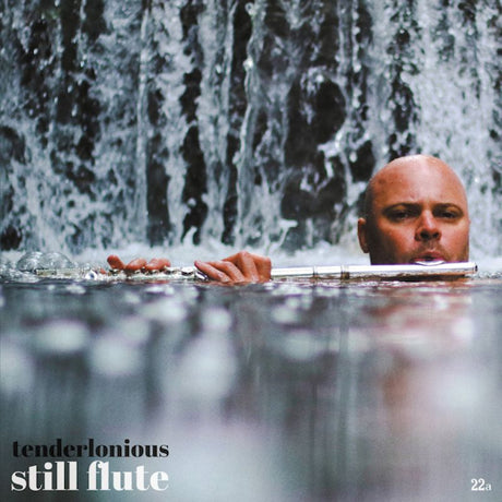 Tenderlonious - Still flute (LP) - Velvet Music