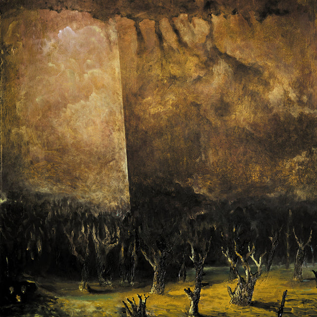 Tenebrae In Perpetuum - Vacuum coeli (LP) - Velvet Music
