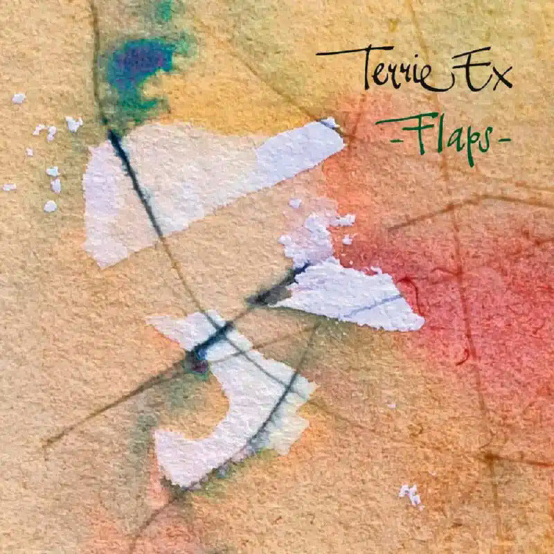 Terrie Ex - Flaps ! (CD)