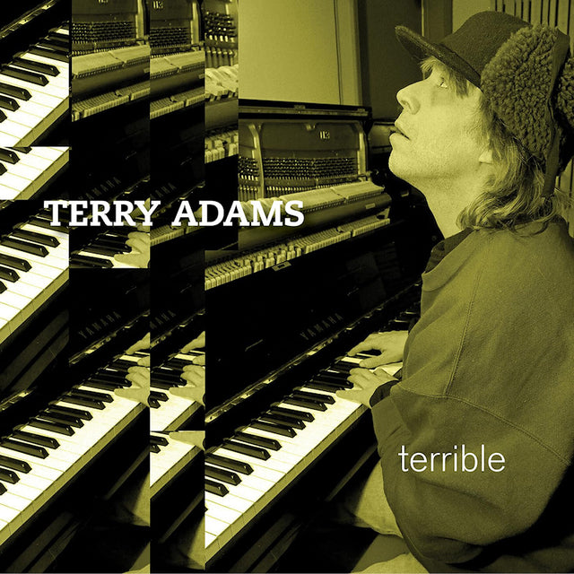 Terry Adams - Terrible (LP) - Velvet Music