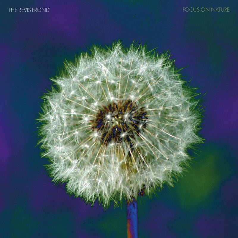 The Bevis Frond - Focus on nature (CD) - Velvet Music