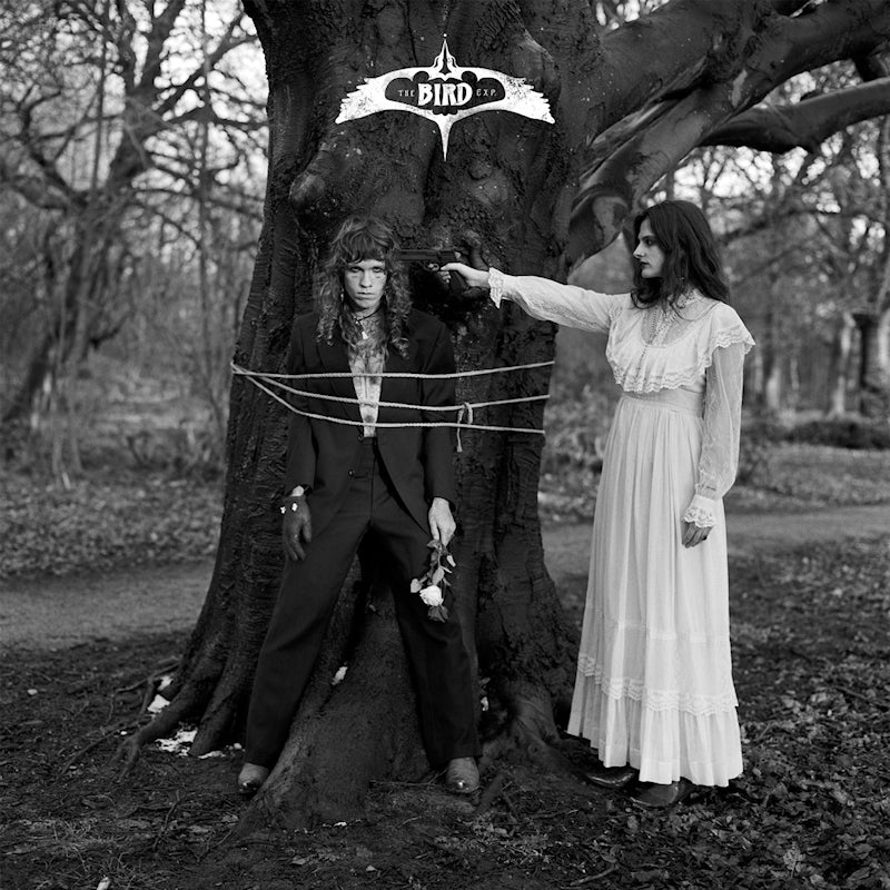 Bird Experience, The - Canto VII (7-inch single) - Velvet Music
