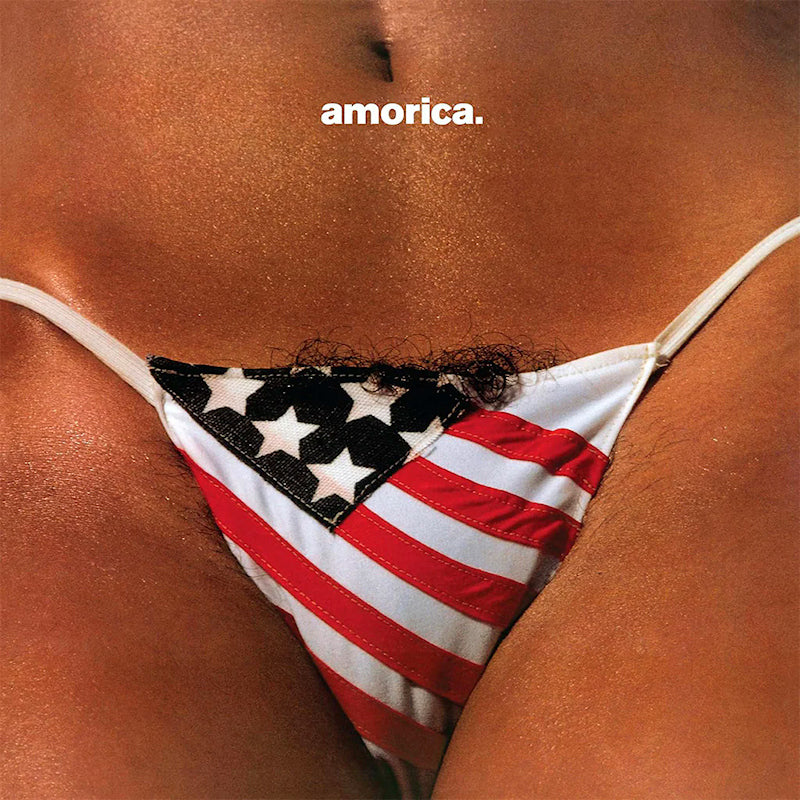 The Black Crowes - Amorica (CD)