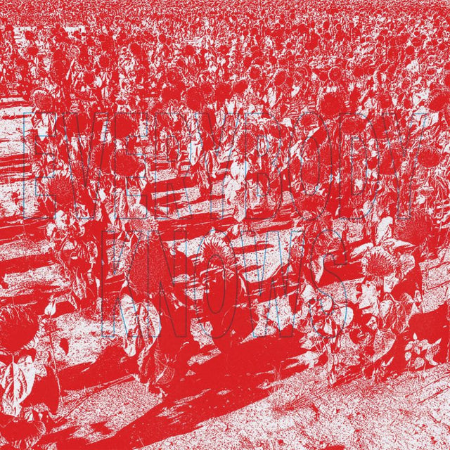 Bony King Of Nowhere - Everybody knows (LP)