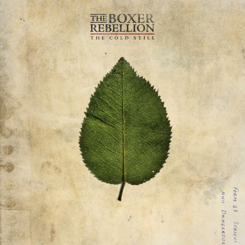 Boxer Rebellion, The - The Cold Still (LP) - Velvet Music