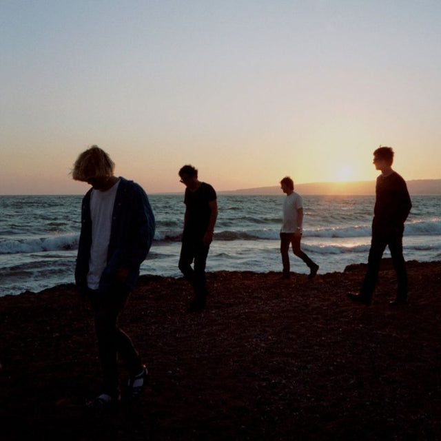 The Charlatans - Modern nature (LP) - Velvet Music