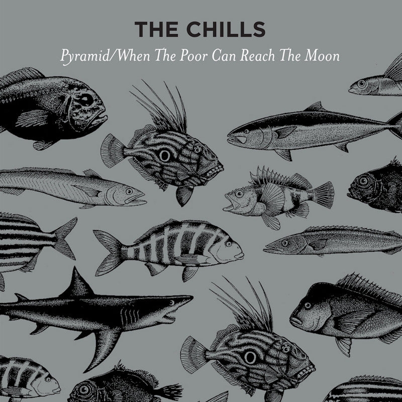 The Chills - Pyramid / when the poor can reach the moon (maxi 45 tours 30 cm)