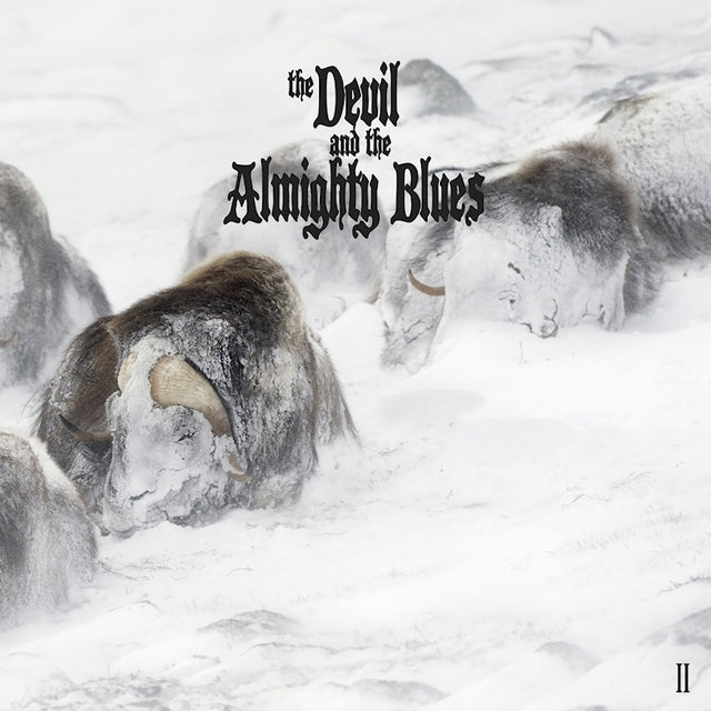Devil And The Almighty Blues - Ii (CD) - Velvet Music