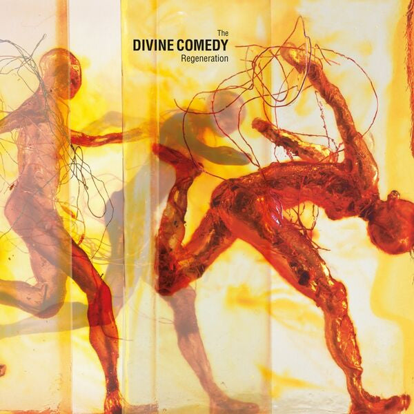 The Divine Comedy - Regeneration (CD) - Velvet Music