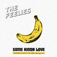The Feelies - Some kinda love: performing the music of the velvet underground (CD)