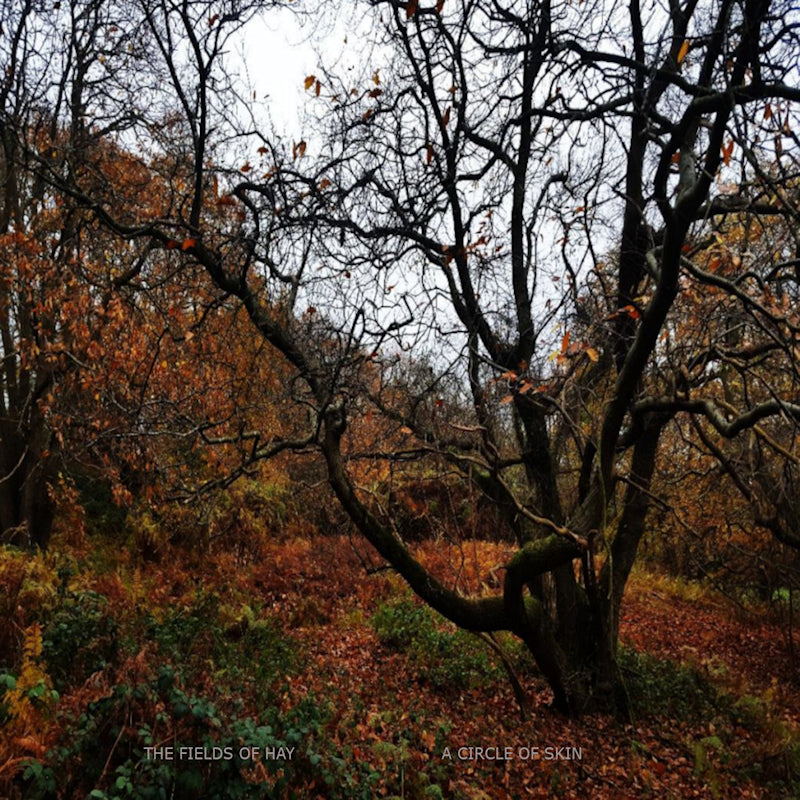 Fields Of Hay - A circle of skin (CD)