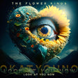 The Flower Kings - Look at you now (LP) - Velvet Music