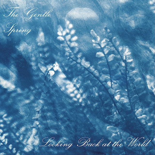 The Gentle Spring - Looking back at the world (CD) - Velvet Music