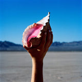 The Killers - Wonderful wonderful -gatefold- (LP) - Velvet Music