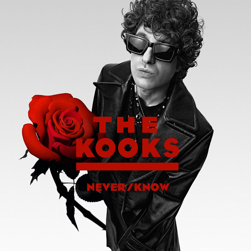 The Kooks - Never/know (CD)