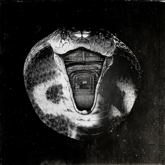 The Mommyheads - Genius killer (LP) - Velvet Music