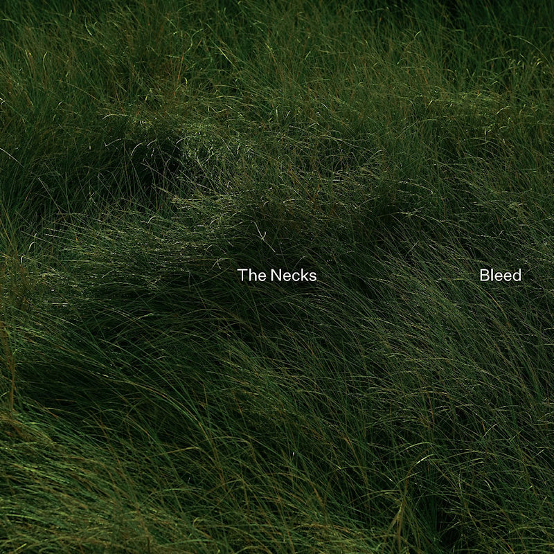 The Necks - Bleed (LP)