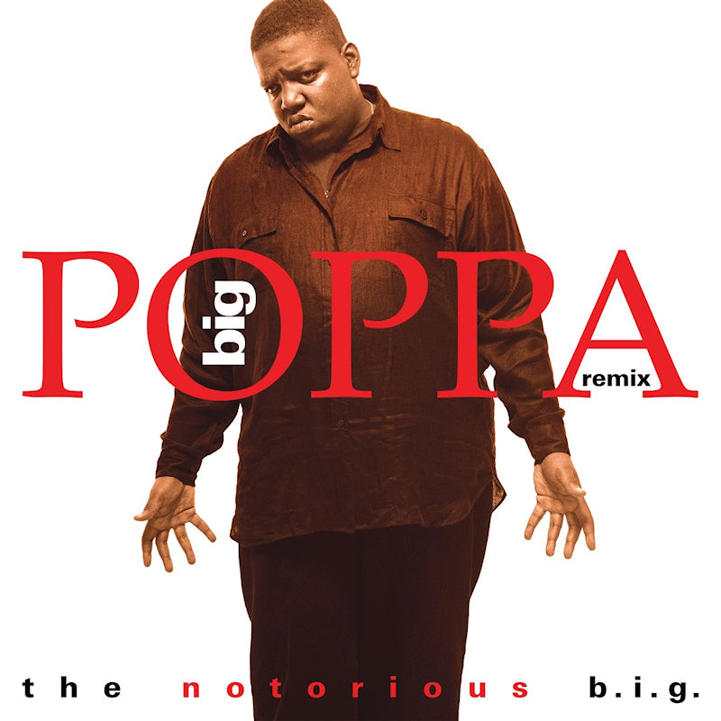 Notorious Big - Big poppa (remix) (LP)