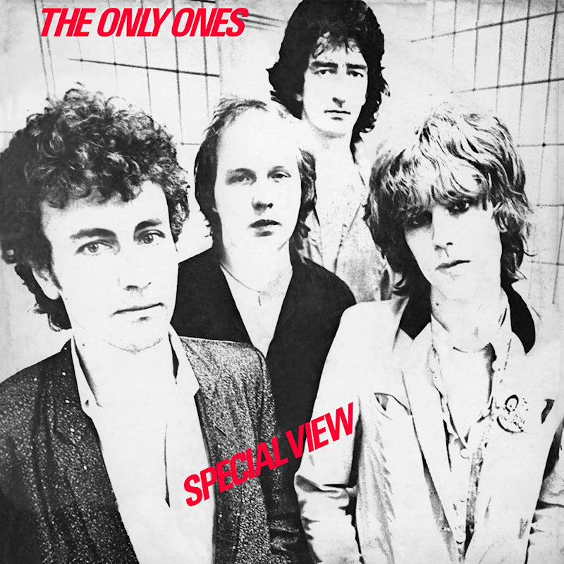 Only Ones - Special view (LP)