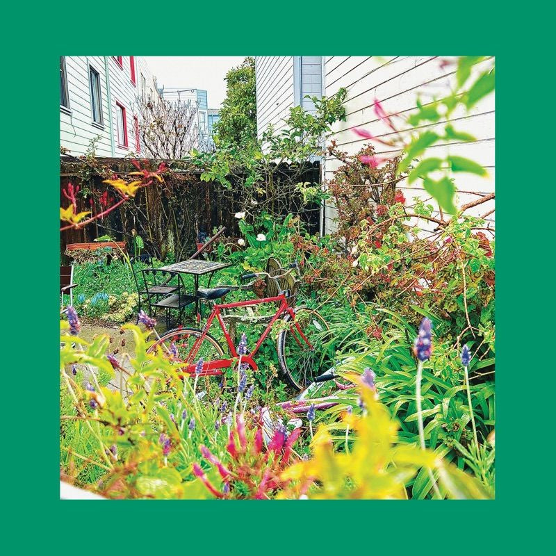 The Reds, Pinks And Purples - Unwishing well (CD) - Velvet Music
