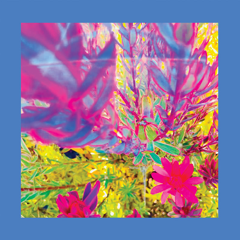 Reds Pinks &amp; Purples - The past is a garden i never fed (neon pink) (LP)