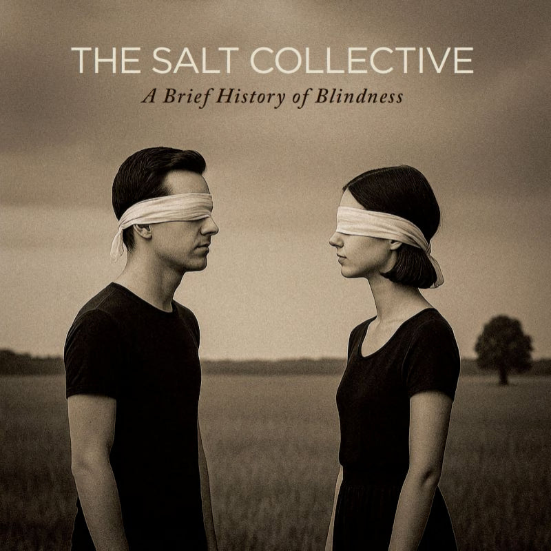 Salt Collective - A brief history of blindness (CD) - Velvet Music