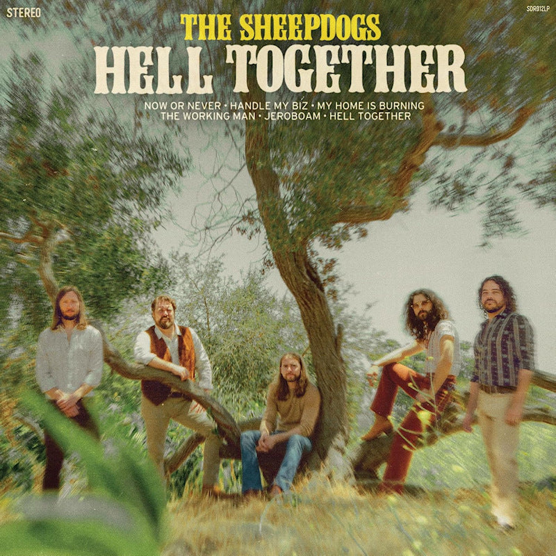 The Sheepdogs - Hell together (LP) - Velvet Music