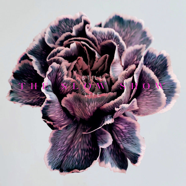 The Slow Show - Still life (CD) - Velvet Music