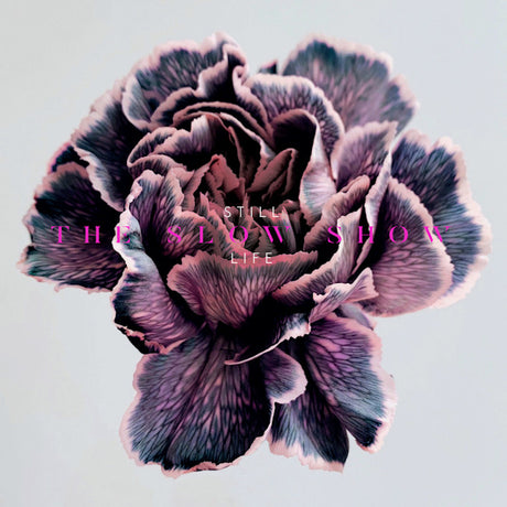 The Slow Show - Still life (CD) - Velvet Music
