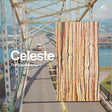 The Soundcarriers - Celeste (CD) - Velvet Music
