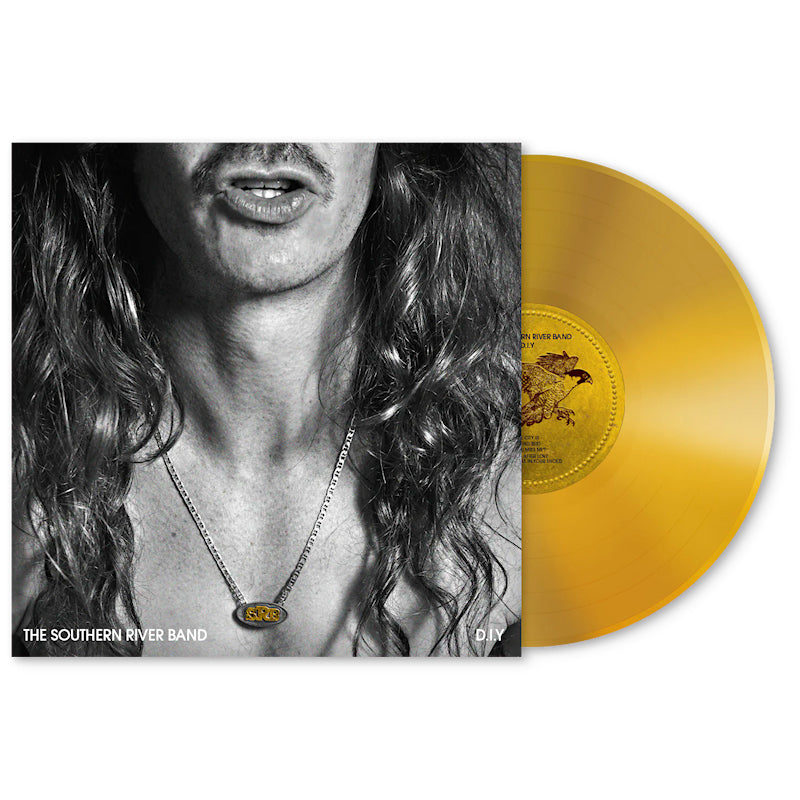 The Southern River Band - DIY (LP)