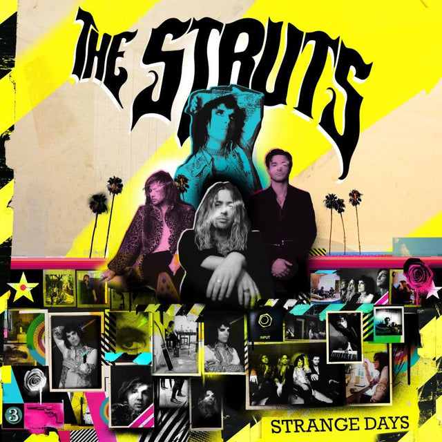 The Struts - Strange days (CD) - Velvet Music