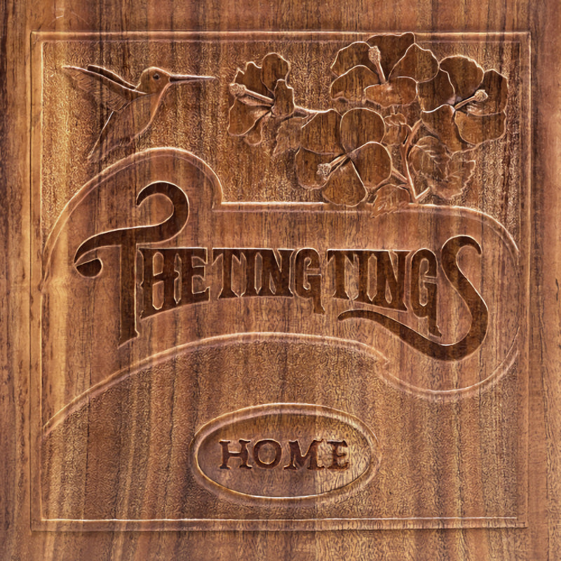 The Ting Tings - Home (33T)