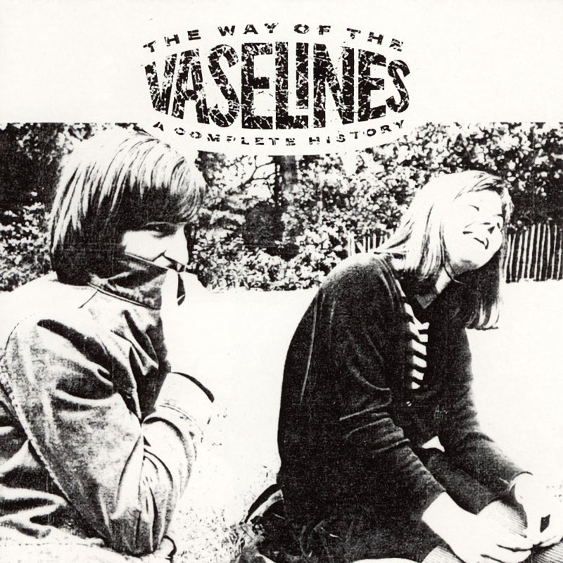 The Vaselines - The way of the vaselines (a complete history) (CD) - Velvet Music