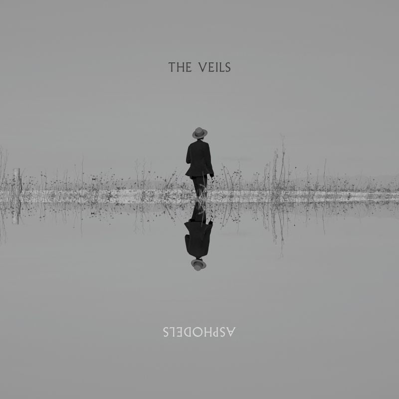 The Veils - Asphodels (LP) - Velvet Music