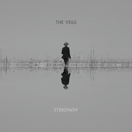 The Veils - Asphodels (LP) - Velvet Music