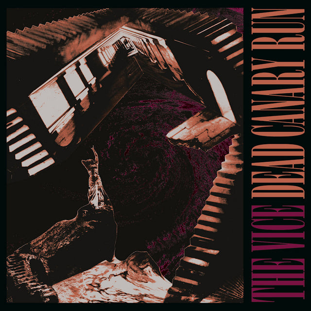 The Vice - Dead canary run (LP) - Velvet Music