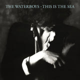 The Waterboys - This is the sea (LP)