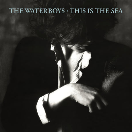 The Waterboys - This is the sea (LP)