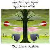 Wave Pictures - When the purple emperor spreads his wings (LP) - Velvet Music
