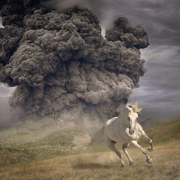The White Buffalo - Year of the dark horse (LP) - Velvet Music