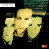 Wild Swans - Bringing home the ashes (LP) - Velvet Music